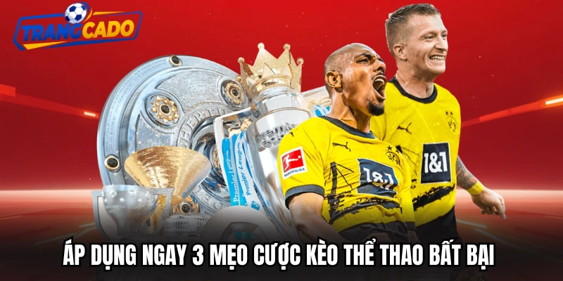 Áp dụng ngay 3 mẹo cược kèo thể thao bất bại